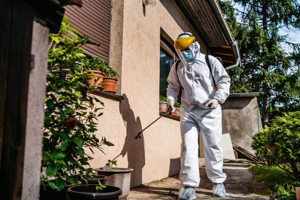 Wasp Removal Services in Wolverine Lake, MI