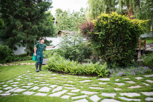 Best Ant Control Services  in Wolverine Lake, MI