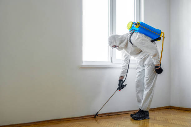 Best Local Pest Control Services  in Wolverine Lake, MI