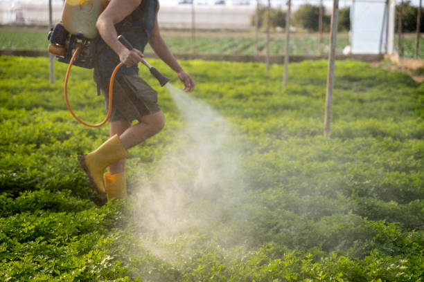Best Affordable Pest Control Services  in Wolverine Lake, MI