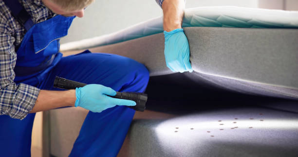 Best Cockroach Control Services  in Wolverine Lake, MI